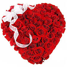 36 red roses heart
