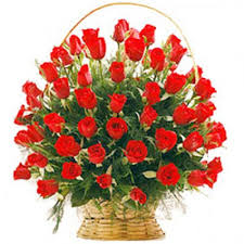 Basket of 50 red roses