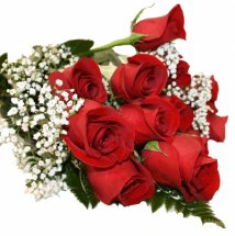 12 Red Roses Bouquet