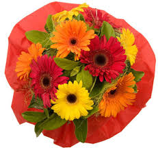 21 gerberas bouquet