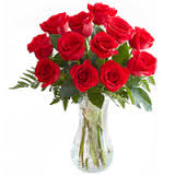 12 red roses vase