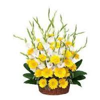 50 gerberas gladioli basket