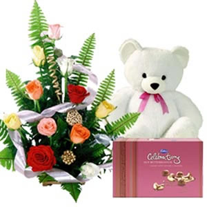 12 Mix roses basket Teddy Celebration Box