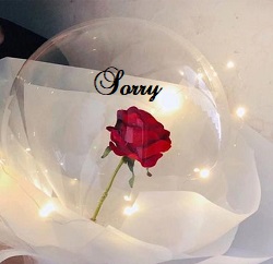 SORRY printed transparent balloon 1 red rose 