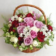 15 roses basket