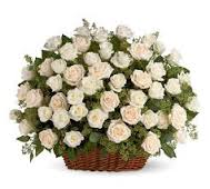 50 roses basket