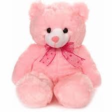 Teddy bear 12 inches in pink