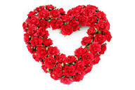 24 Red roses heart