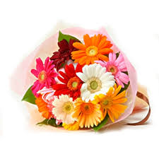 12 gerberas bouquet