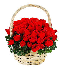 20 red roses in a basket